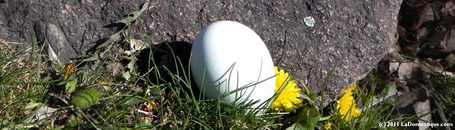 Ingredient of the Week: Eggs