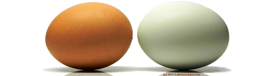 10 Ways Tuesdays: Eggs