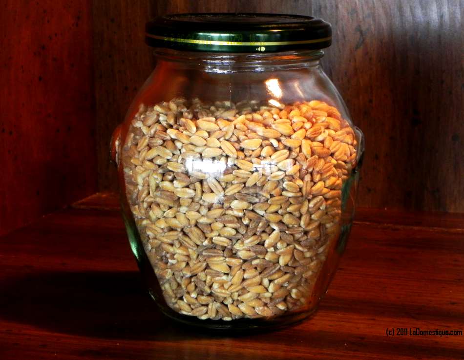 Farro In My Pantry Farro In My Pantry