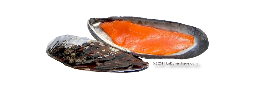 Ingredient of the Week: Smoked Salmon