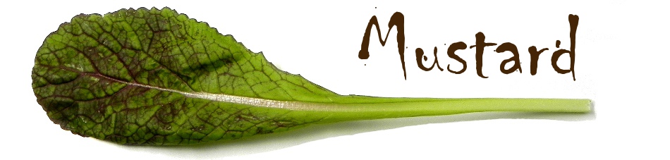 Ingredient of the Week: Mustard