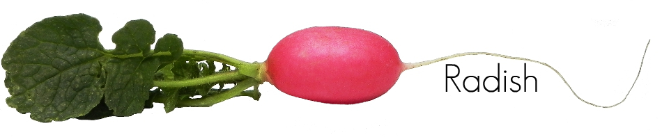 Ingredient of the Week: Radish