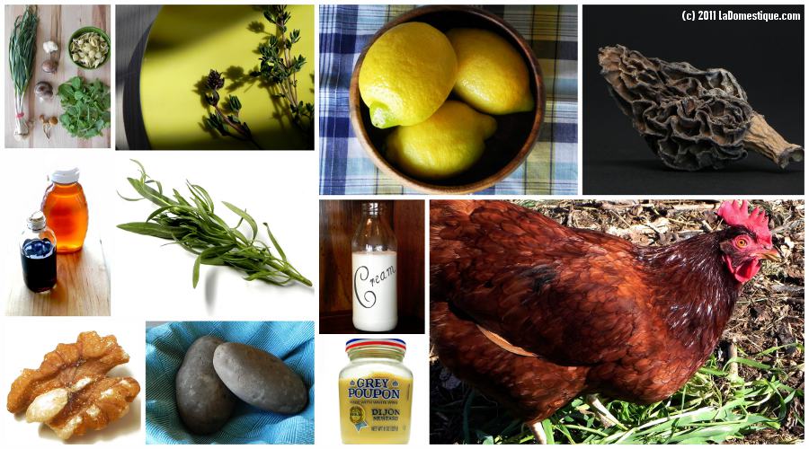 Storyboard: Spring Chicken