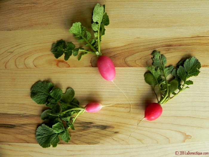 10 Ways Tuesdays: Radish