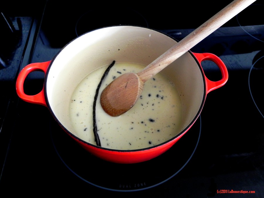 Making Vanilla Ice Cream (c)2011 LaDomestique.com Making Vanilla Ice Cream (c)2011 LaDomestique.com