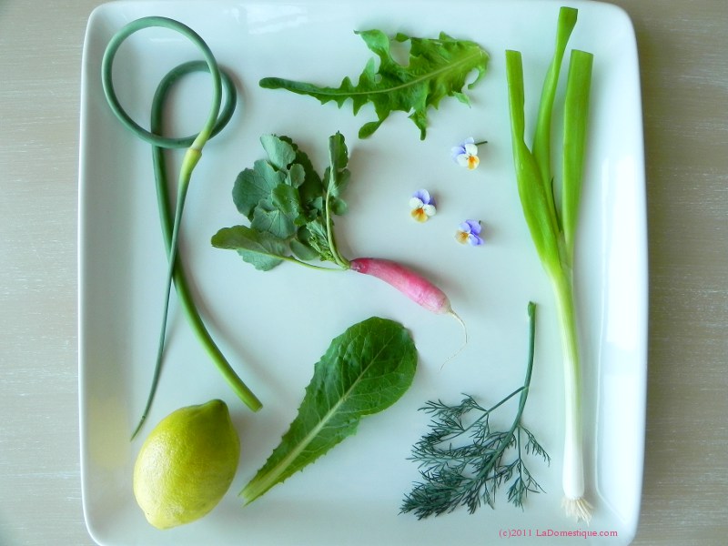 A Colorado Garden Salad