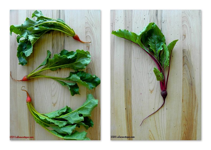 Red Beet Collage (c)2011 LaDomestique.com Red Beet Collage (c)2011 LaDomestique.com