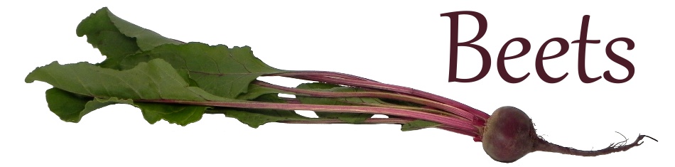 This Past Week at La Domestique: Beets