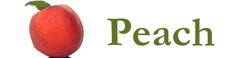 10 Ways Tuesday: Peaches