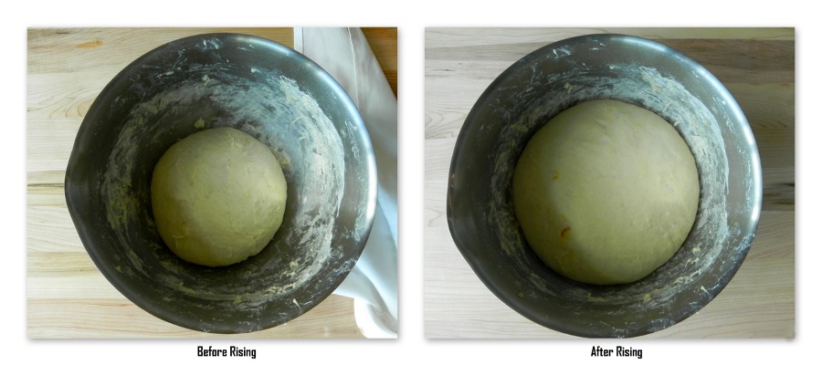 Saffron Rolls - Before And After Rising (c)2011 LaDomestique.com Saffron Rolls - Before And After Rising (c)2011 LaDomestique.com