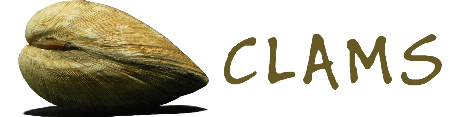 This Past Week at La Domestique: Clams