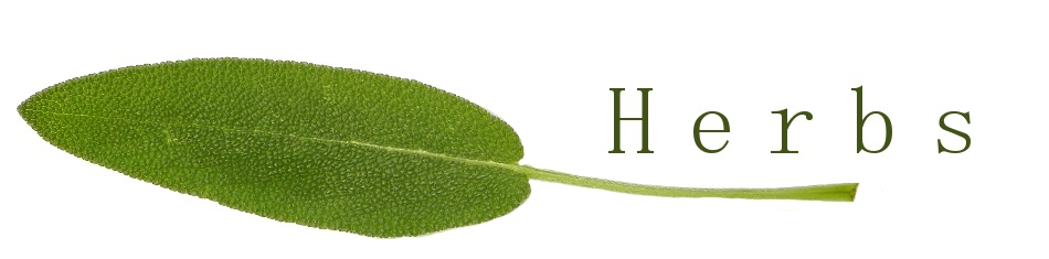 Ingredient of the Week: Herbs