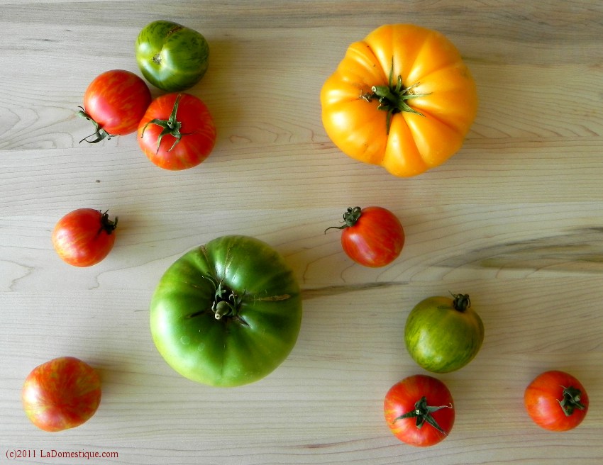 Tomato & Grilled Corn Salad with Smoked Salt