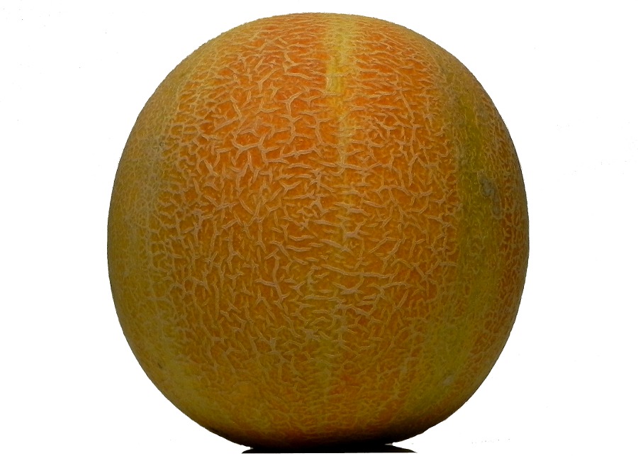 10 Ways Tuesday: Melons