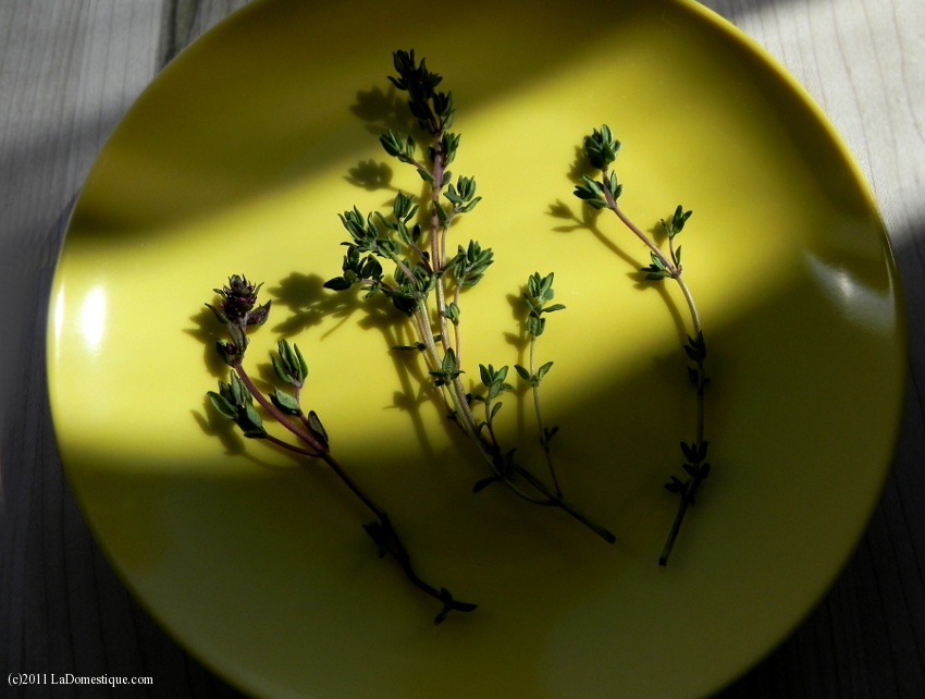 10 Ways Tuesday: Herbs