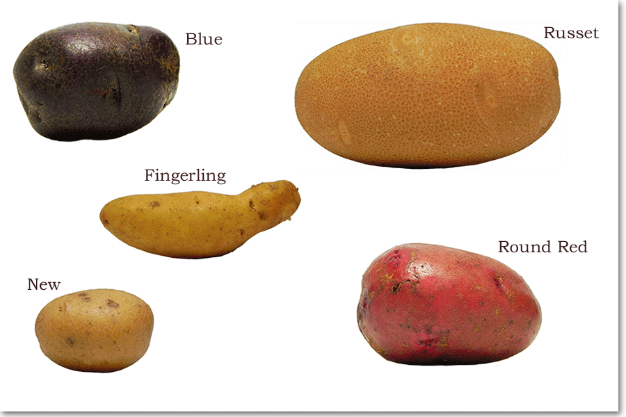 Storyboard: Potatoes
