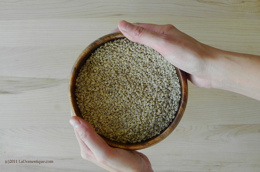 10 Ways Tuesday: Barley