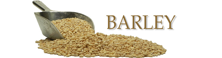 This Past Week at La Domestique: Barley