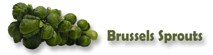 This Past Week at La Domestique: Brussels Sprouts