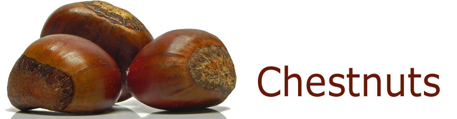 This Past Week at La Domestique: Chestnuts