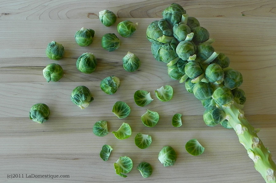 10 Ways Tuesday: Brussels Sprouts