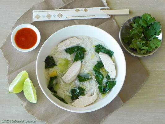 Asian Chicken Noodle Soup (c)2011 LaDomestique.com