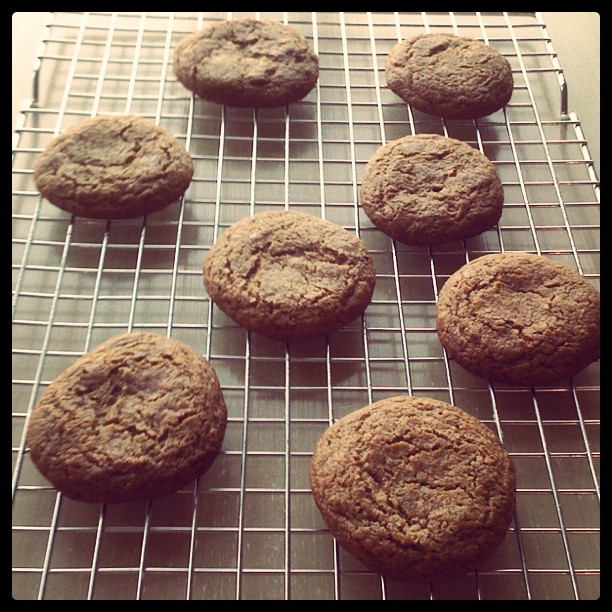 Instagram photo of Gingersnaps (c)2011 LaDomestique.com Instagram photo of Gingersnaps (c)2011 LaDomestique.com