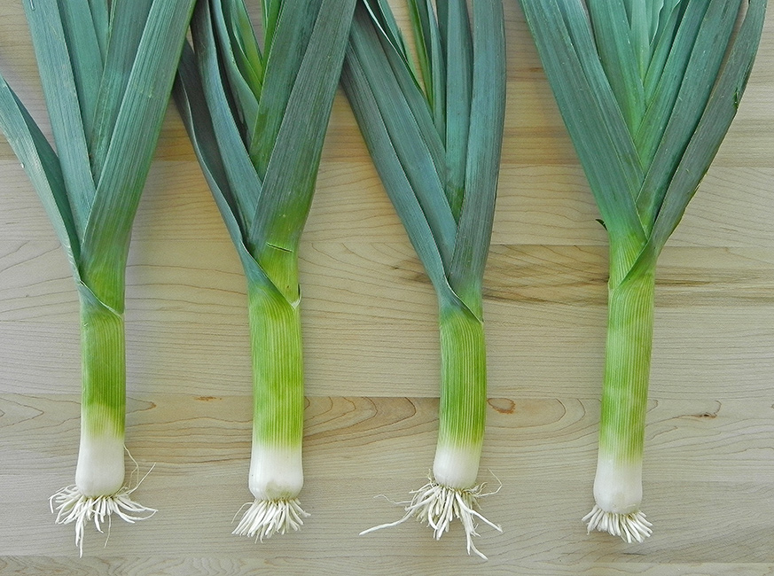 10 Ways Tuesday: Leeks