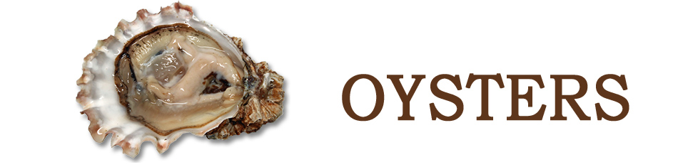 Ingredient of the Week: Oysters