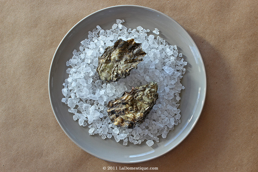 Oysters (c)2012 LaDomestique.com Oysters (c)2012 LaDomestique.com