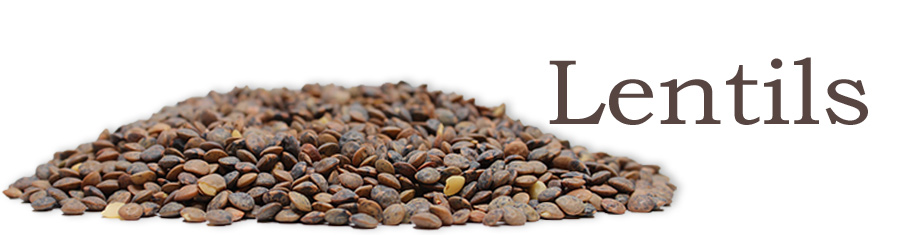 Ingredient of the Week: Lentils