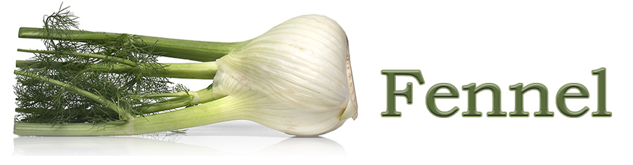 Ingredient of the Week: Fennel