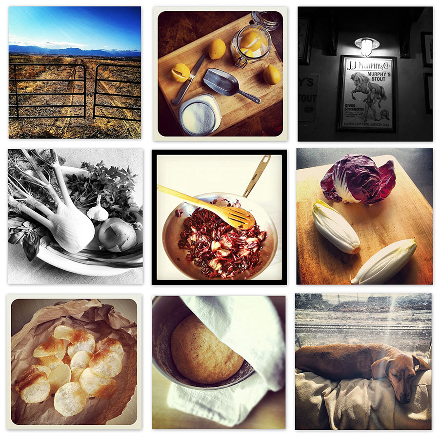 Instagram collage, username ladomestique (c)2012 LaDomestique.com Instagram collage, username ladomestique (c)2012 LaDomestique.com