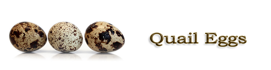 Ingredient of the Week: Quail Eggs