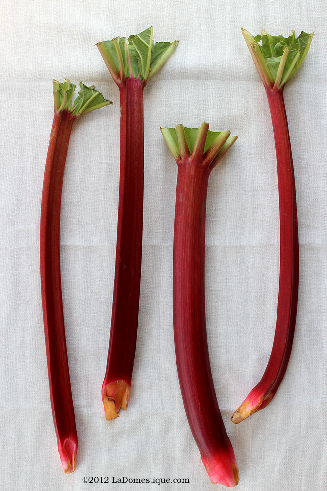 Rhubarb (c)2012 LaDomestique.com Rhubarb (c)2012 LaDomestique.com