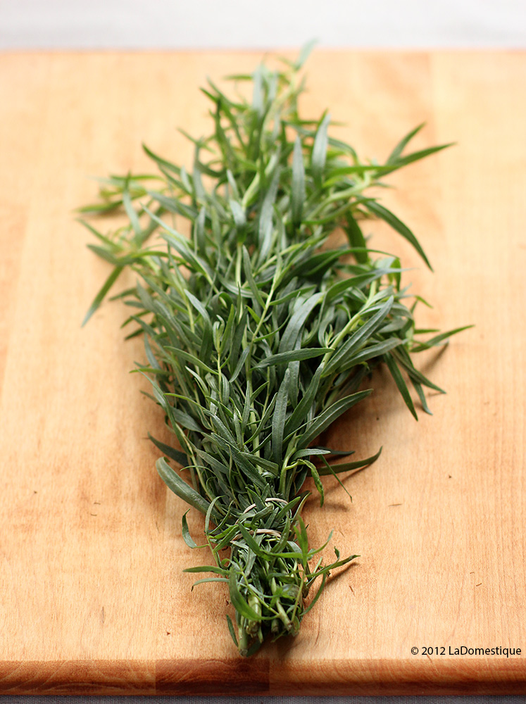 Tarragon (c)2012 LaDomestique.com Tarragon (c)2012 LaDomestique.com