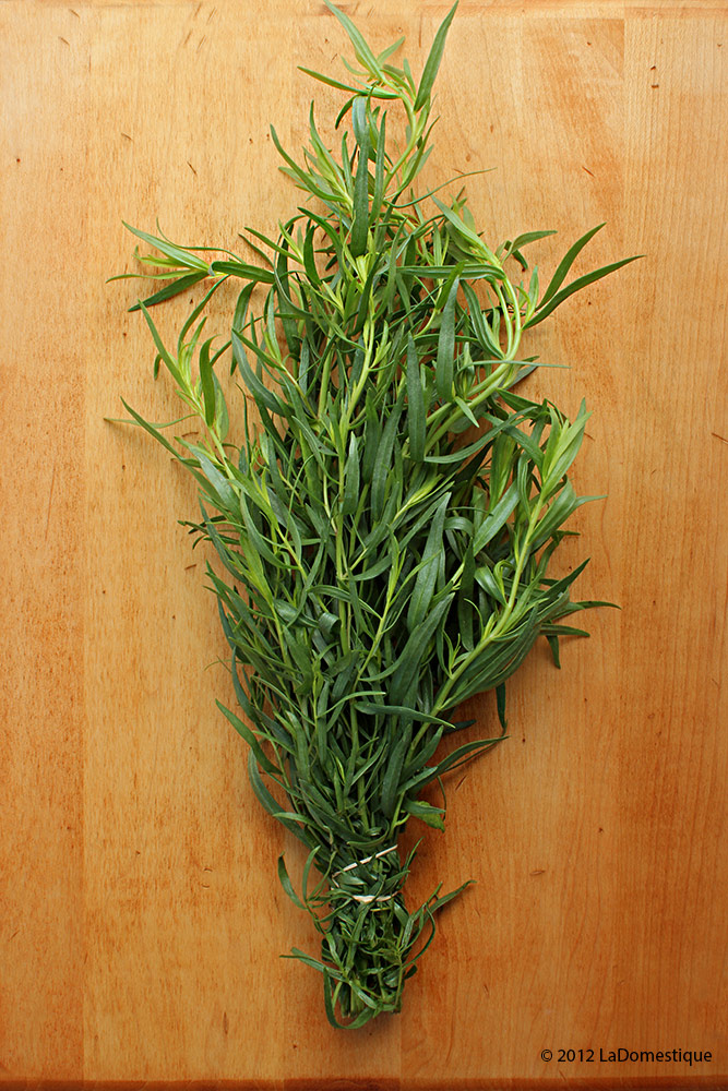 Tarragon (c)2012 LaDomestique.com Tarragon (c)2012 LaDomestique.com