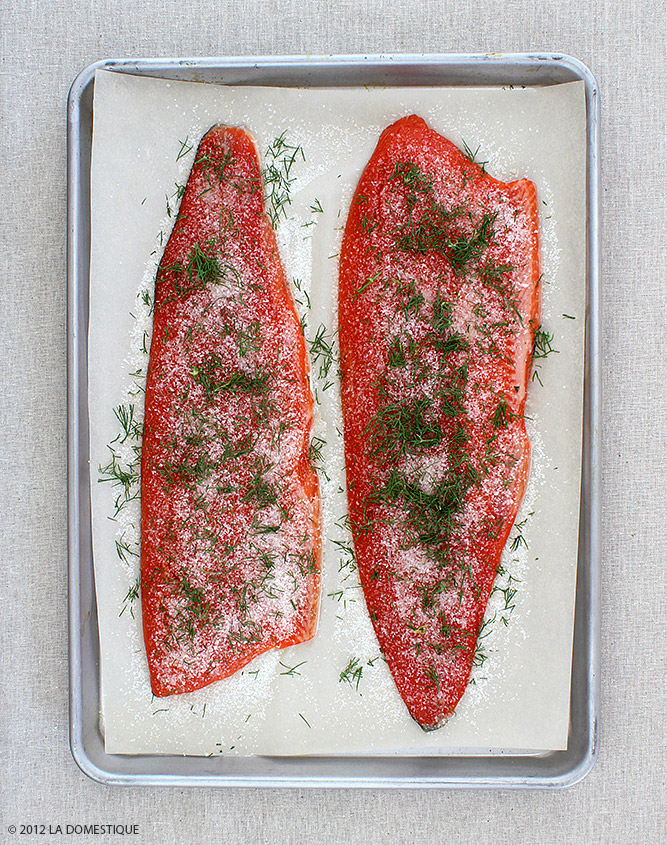 Gravlax (c)2012 LaDomestique.com Gravlax (c)2012 LaDomestique.com