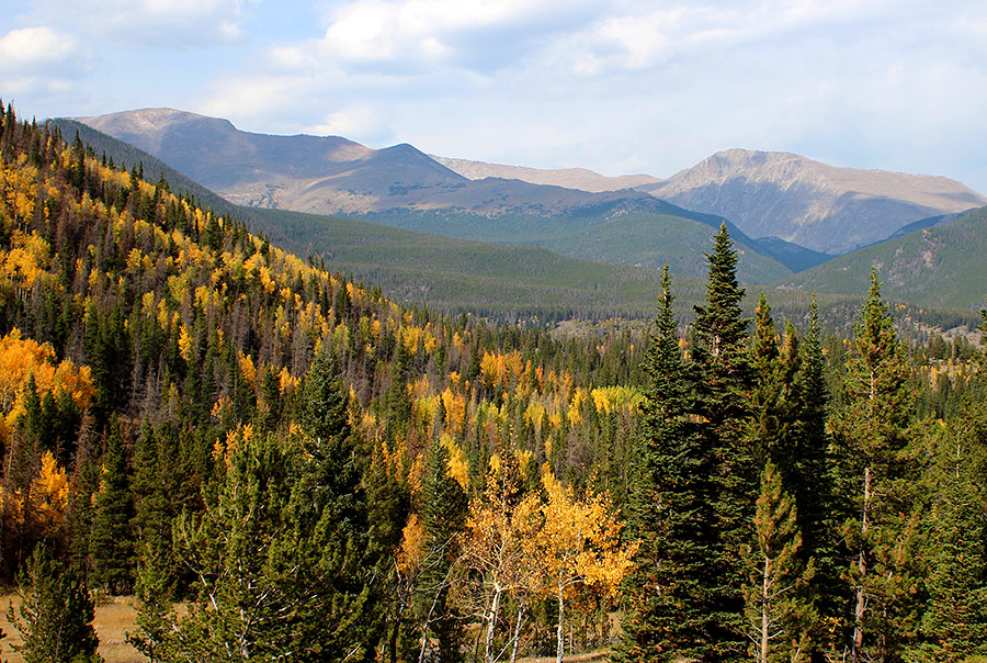 Fall Colors in Rocky Mountain National Park (c) 2012 La Domestique Fall Colors in Rocky Mountain National Park (c) 2012 La Domestique