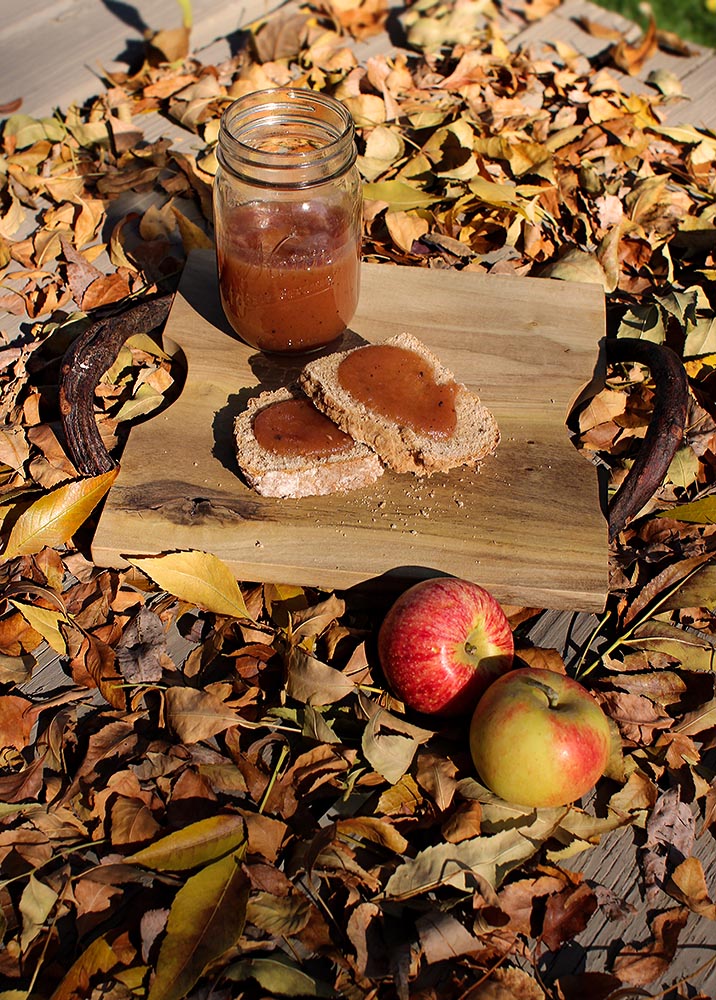 Apple Butter and Homemade Irish Wheat Soda Bread on a Fall Day in Colorado (c)2012 La Domestique Apple Butter and Homemade Irish Wheat Soda Bread on a Fall Day in Colorado (c)2012 La Domestique