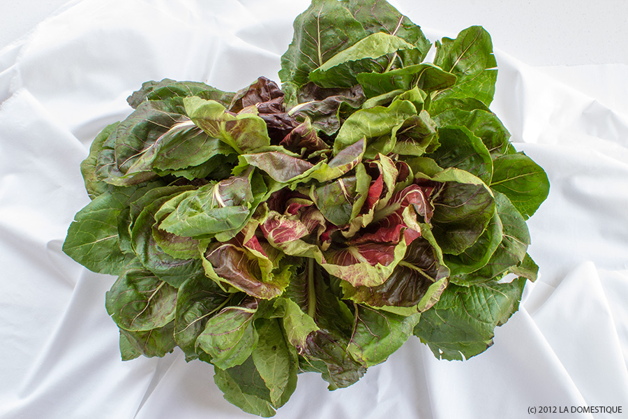 Radicchio from the Boulder, Colorado Farmers Market (c) 2012 La Domestique Radicchio from the Boulder, Colorado Farmers Market (c) 2012 La Domestique