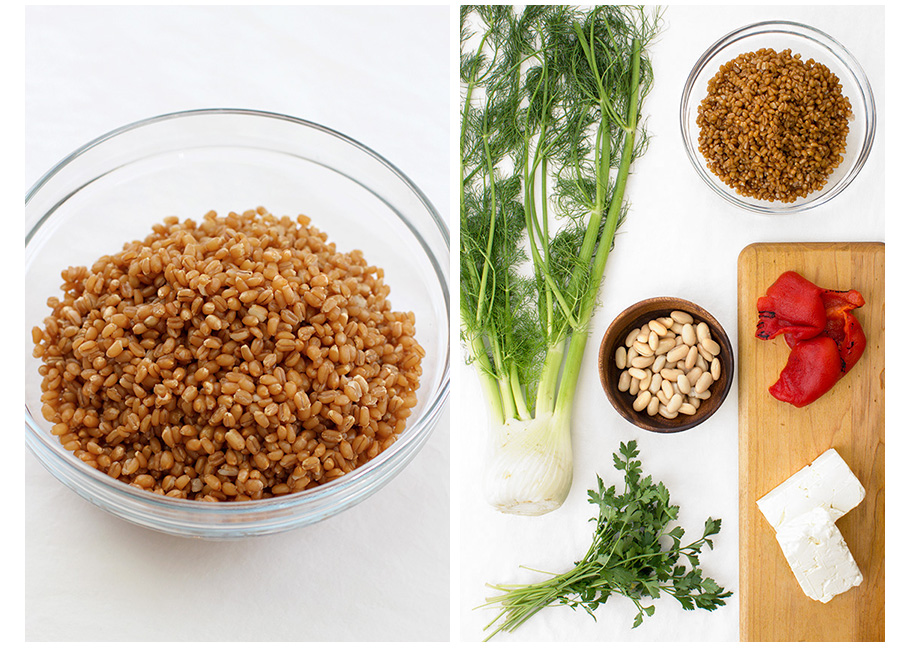 Ingredients for Wheat Berry Salad with Roasted Fennel and Red Bell Pepper (c)2013 La Domestique