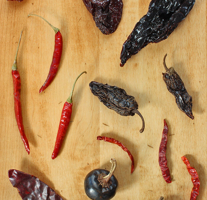 10 Ways Tuesday: Dried Chiles