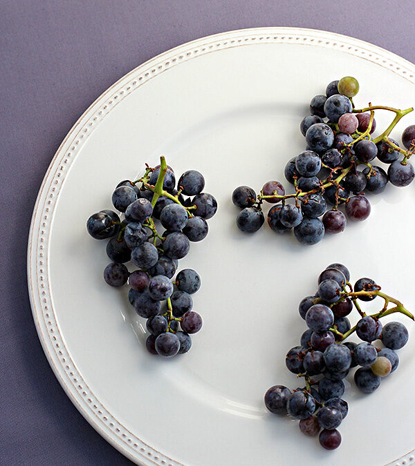 Concord Grapes