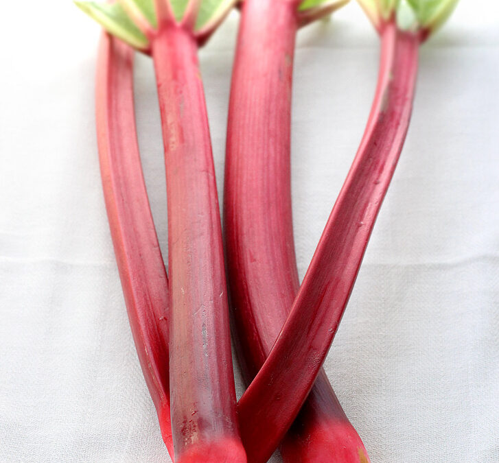 10 Ways Tuesday: Rhubarb