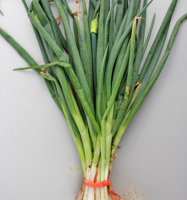 Ingredient of the Week: Spring Onions