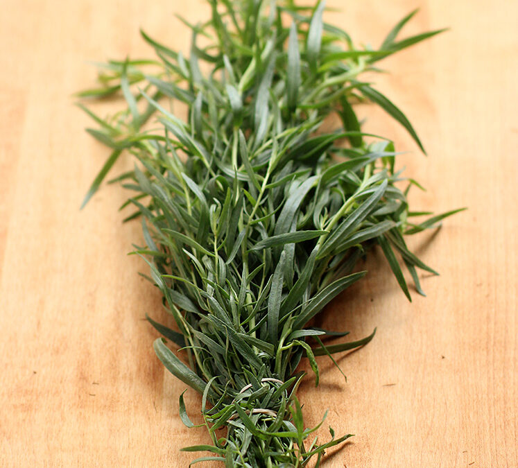 10 Ways Tuesday: Tarragon