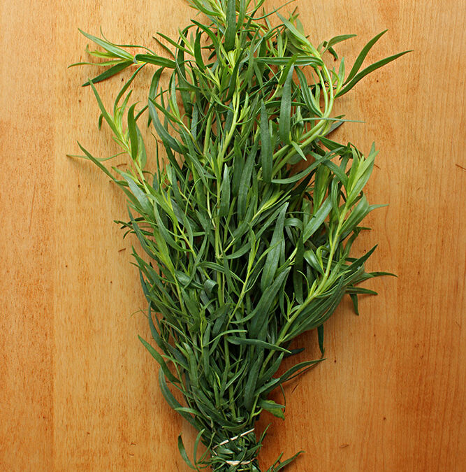 Ingredient of the Week: Tarragon